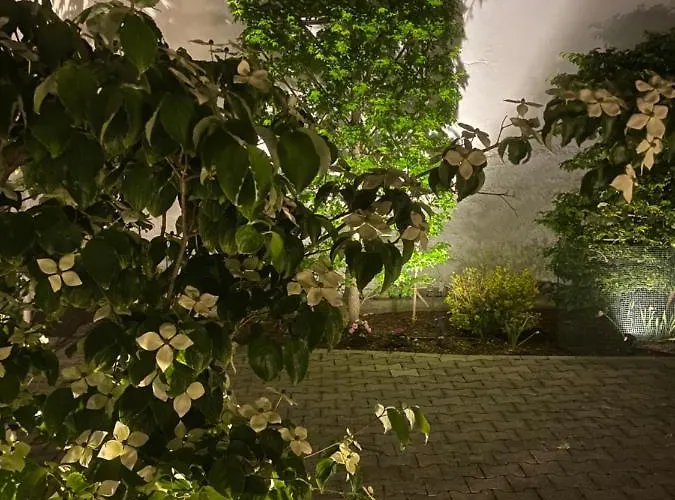 Glockenstuhl @conny's *